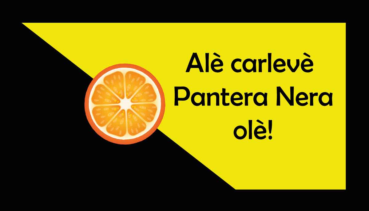 Pantera Nera